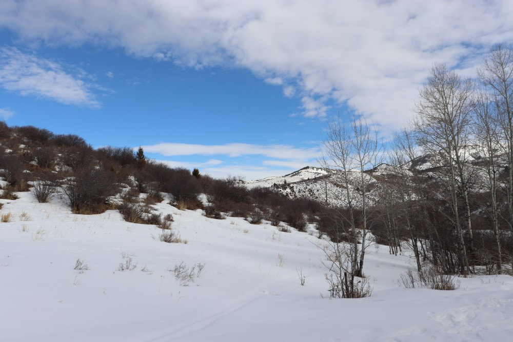 Thick white snow on a hillside and trail, with snow covered mountains beneath white whispy clouds