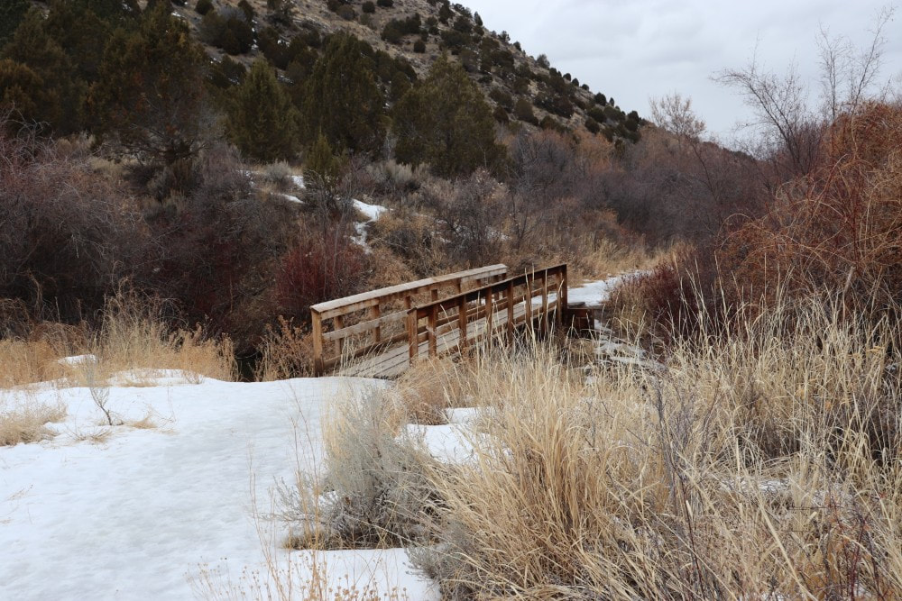 A hill covered in junipers slants down to a wooden bridge across a creek. The foreground is snow covered ground