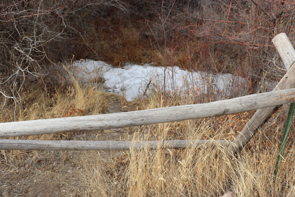 A weathered wooden fence in the foreground with a stream thick with ice behind it. They are both surrounded by winter dry plants in shades of yelllow brown and red.