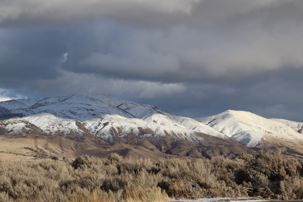 Snowy mountais with sagebrush in the foreground and gray looming clouds hanging low overhead