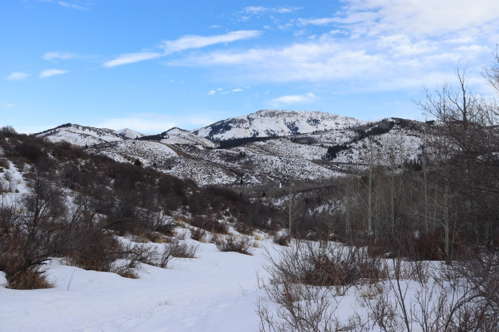 A path down a snow covered hill with winter bare trees and shrubs, In the background, snow covered mountains are set against a blue sky with wispy white clouds