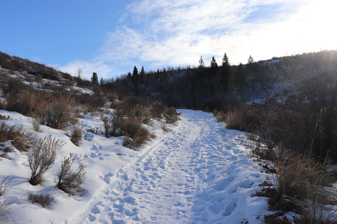 A snowy path with many footprints heading between two hills. The sun shines from the upper right corner, and the sky is blue with some light puffy white clouds. There is sagebrush and other scrub plants and pine trees and juniper on the hillsides. 